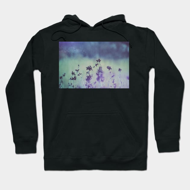 Bramble In Blue And Purple Nature Photograph Hoodie by art64